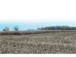 Property photo 2 - LAND AUCTION, 320+/- Acres offered in (2) 160 Acre Tracts